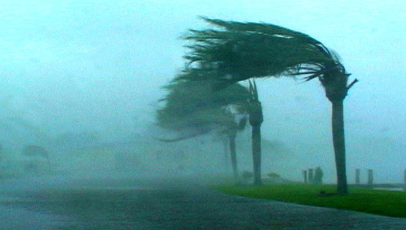 Resultado de imagen para eL ÁRBOL MÁS FUERTE ES EL QUE CRECIÓ CONTRA EL HURACÁN FRASE E IMAGEN